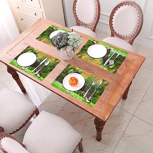 Set de table Schnauzer antidérapant pour table propre et protégée de la chaleur - 7