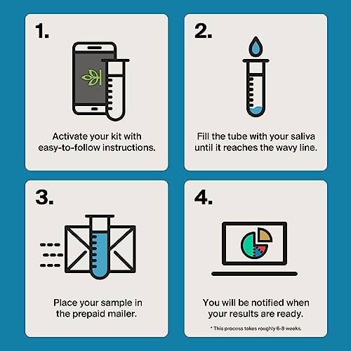 Ancestrydna Genetic Test Kit + 3-Month Ancestry World Explorer Membership: Dna Ethnicity Test thumb #8