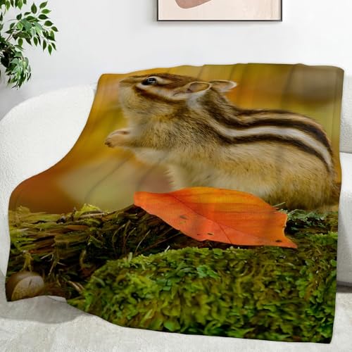 tlѕz F̃X uPbg _u 180x200 |ѕz G| | hsO yʃRpNg 􂦂鑬 g I[V[Y AM[΍ Q v[g Lv/\t@p IW̗t AG60