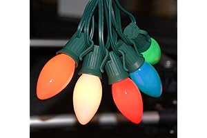 C9 Christmas Lights 25Ft Multicolored Outdoor String Lights with 26 Ceramic Edison...