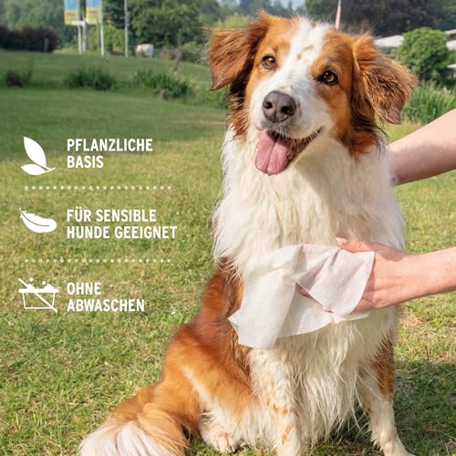 AniForte Pflegetücher für Hunde 100 Stück - XXL desodorierende Reinigungstücher mit Frischeverschluss, hypoallergen, mild, reißfest, natürliche Reinigung, Dog Wipes