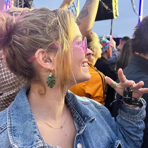 Image of Eargasm High Fidelity Rainbow Earplugs for Concerts, Festivals, Musicians, DJs, Night-Life, Motorcycle Hearing Protection - Reusable Ear Plugs for High Fidelity Noise Reduction up to 21 dB