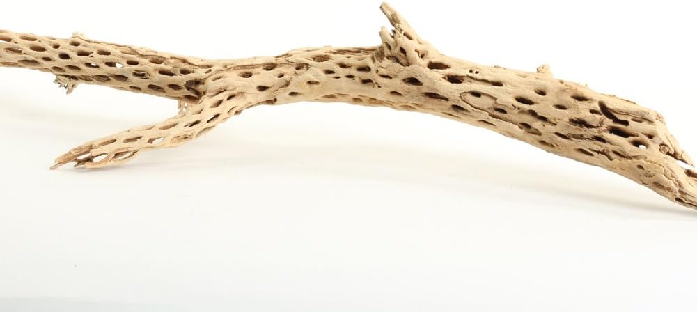 Koyal Wholesale 18-20" Cholla Wood Aquarium Leopard Gecko Tank Accessories Untreated Large Driftwood for Aquarium Wood Hermit Crab Accessories Drift Wood for Shrimp Tank Gecko Accessories