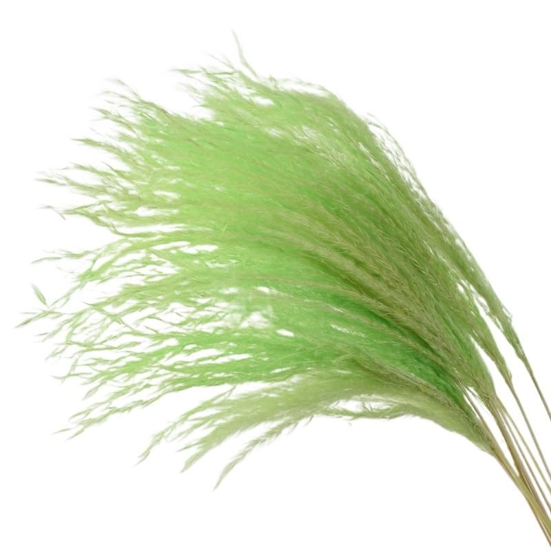 ApuaVireo&Co Pampasgras Boho-Dekor, 10er-Pack mehrfarbiger getrockneter künstlicher Pampasgrasstrauß for Zuhause und Weihnachten(B Green)