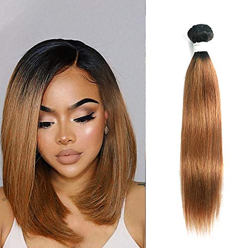 X-TRESS Ombre Light Brown Straight Human Hair Bundles 100% Human Hair Single Bundle Ombre Color 30 Hair Weave Brazilian Human Hair Extension (10 Inch, T1B/30)