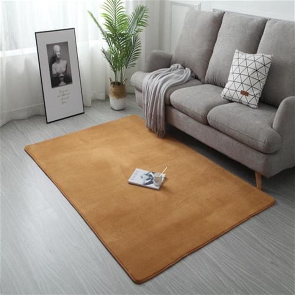 Tapis salon moderne LUNEZY grand tapis de chambre doux et durable