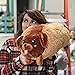 Squishable / Dachshund Hot Dog - 15