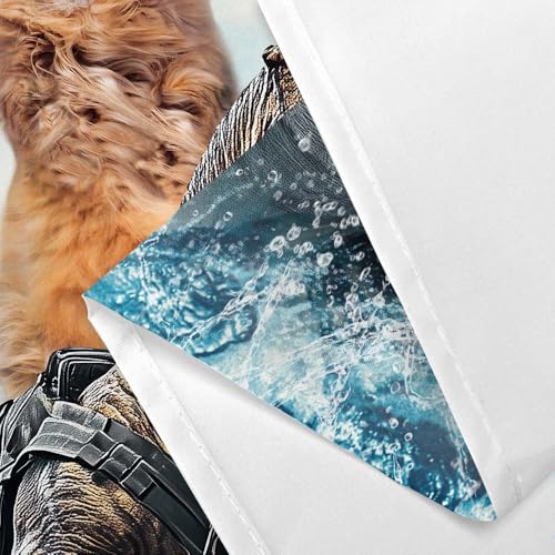 Image of Funny Cat Shower Curtain Set, Cute Cat Riding Dinosaur Theme Ocean Curtains for Bathroom Fun Nautical Kids Decor Polyester Fabric Restroom Curtains