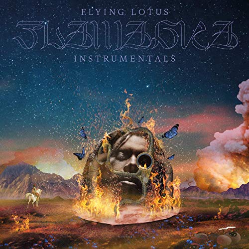 Album art for Flamagra (Instrumentals) by Flying Lotus