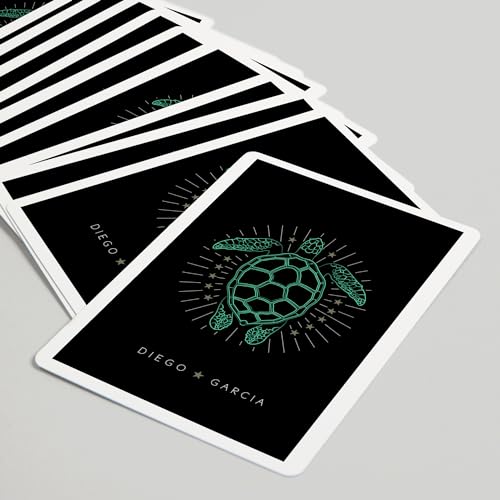 Lantern Press Baraja Poker 52 Cartas Neon Turtle miniatura 5