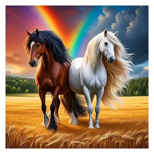 hill froeistung Kits de pintura de diamantes de caballos 5D para adultos, arte de diamantes de animales para principiantes, pintura de diamantes de arco iris de taladro completo para decoración de