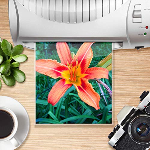 Everest Thermal Laminating Pouches, 8.9 X 11.4 - Inches, 3 Mil Thick, 110 - Pack, Letter Size Sheets, Clear(Th0300-01) #TOP2