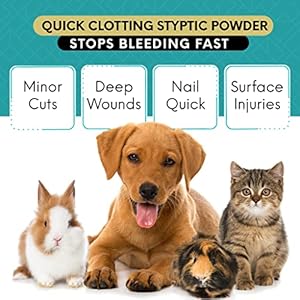 Bloodstoppowder3ozquickstopbleedingfordogscatspigshorsesandpetsstypticpowderfordogsnailsandminortosevereexternalwounds Urban Country Home Decor Blood stop powder 3 oz quick stop bleeding for dogs cats pigs horses and petsstyptic powder for dogs nails and minor to severe external wounds urban country home decor