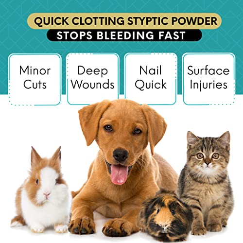 Bloodstoppowder3ozquickstopbleedingfordogscatspigshorsesandpetsstypticpowderfordogsnailsandminortosevereexternalwounds Urban Country Home Decor Blood stop powder 3 oz quick stop bleeding for dogs cats pigs horses and petsstyptic powder for dogs nails and minor to severe external wounds urban country home decor
