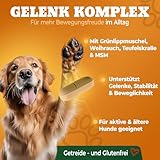 NATIVIVO Gelenktabletten Hund - Grünlippmuschel Hund - Gelenkkomplex Vital Rezeptur mit Weihrauch Teufelskralle & MSM - Grünlippmuschel Kapseln - Unterstützt Gelenke & Beweglichkeit Made in Germany