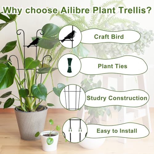 Image of 23in Plant Trellis Indoor, Trellis for Potted Plants with Bird, Garden Trellis Climber Support for Climbing Plants Pothos Hoya Vine