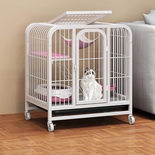 Cage pour chat spacieuse pour éviter les dégâts intérieurs