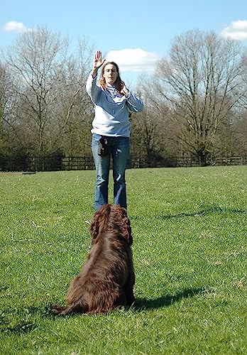COMPANY OF ANIMALS Hoch-Frequenz-Pfeife, ideal für das Gehorsamkeits- und Rückruftraining, verstellbare Tonhöhe, kräftiger, klarer Ton, leicht und kompakt, für Welpen- und Hundetraining