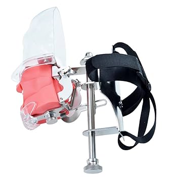 歯牙模型　3種類　別売り可 グラフト実習用顎模型 [P9-X.876]｜株式会社ニッシン｜歯科模型