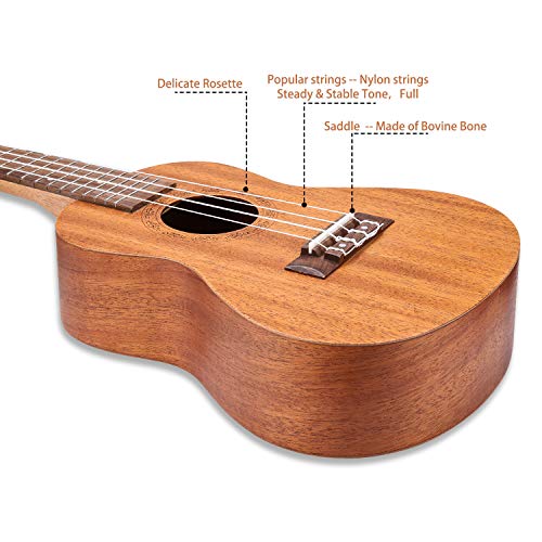 Hricane Ukulele Professionale Opaco Kit Ukulele