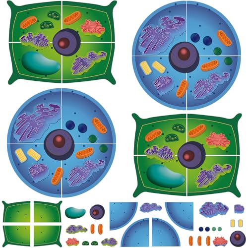 Image of 2 Set Magnetic Animal and Plant Cell Anatomy Biology Model Set