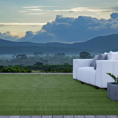 Amazon.com: iCustomRug Indoor/Outdoor Turf Carpet, Sythentic Grass in ...