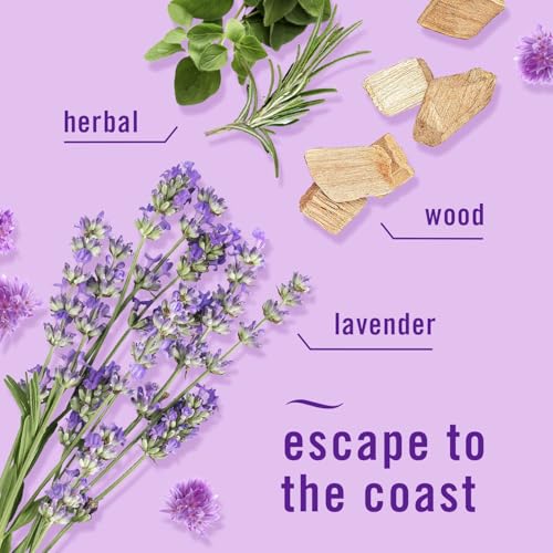 Image of Febreze Plug in Air Freshener, Odor-Fighting Scented Oil Refill, Twilight Lavender and Downy April Fresh Scents, 4 Refills