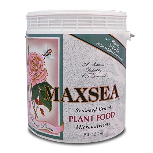 Bloom Plant Food 3-20-20 - 6 lb miniatura 1