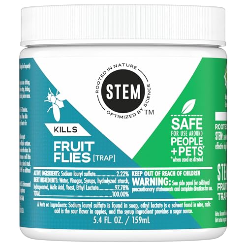 Stem 329965 Kills Fruit Fly Trap: Fruit Fly Catcher thumb #1