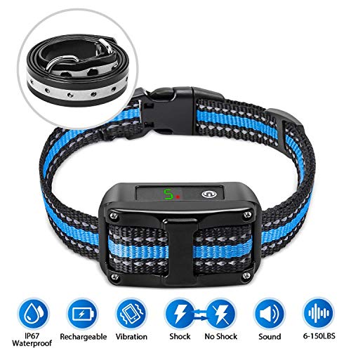 The 11 Best Bark Collar For Chihuahua In 2023 Top Picks & Reviews