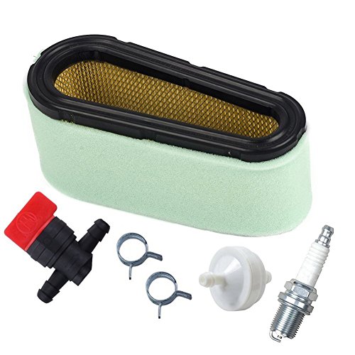 2. Filtro carburante per attacco da 0,6 cm, adatto per linea carburante da 0,8 a 0,6 cm. Sostituzione per Briggs & Stratton 394358 394358S 4112 5098H 5098K; Simplicity 173206 173206SM 2173206 2173206SM; Gravely 21534000; Subaru 263-65011-A0; Ariens 21534000; Toro 56-6460