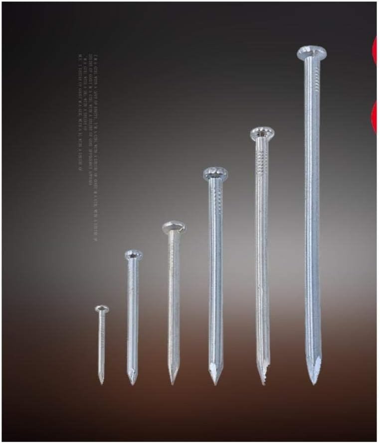 Stainless Steel Hardware Nails, Wall Nails, Steel, Various Types of Small .-2.5(3 Inches)