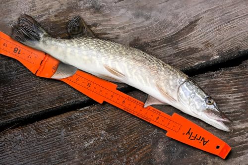 Image of AirFly Fish Measuring Board 32 Inch Foldable Bump Board - Built-in Crab Lobster Gauge - Slot-Limit Ruler for Redfish Snook Trout Flounder - Kayak Boat Shore - High-Contrast ABS - Designed in USA
