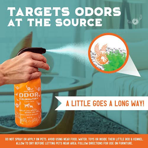 Angry Orange Pet Odor Eliminator for Dog and Cat Urine, Makes 1 Gallon