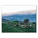 Lais Puzzle Belle Vue sur Une Plantation de café à l'aube près de Manizales, Colombie 40 Pièces