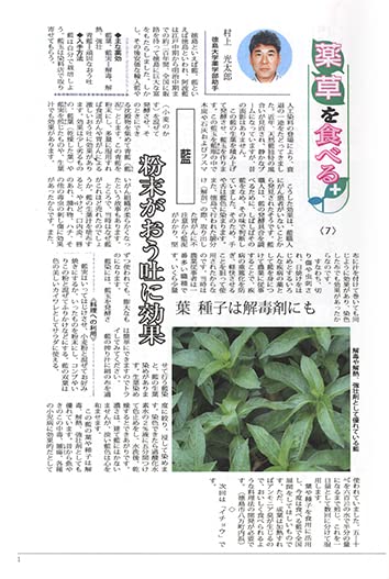 民間薬の実際知識  村上光太郎