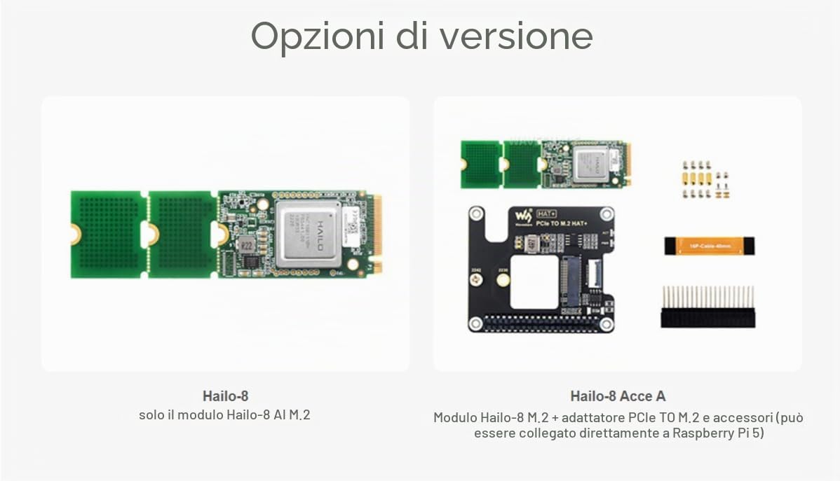 TUOPUONE Hailo-8 M.2 AI Accelerator Module Compatible Raspberry Pi 5 Based On The 26TOPS Hailo-8 AI Processor Included PCIe To M.2 Adapter Board