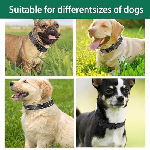Hundehalsband, reflektierendes Hundehalsband mit Sicherheitsschnalle, verstellbares Halsband für kleine, mittelgroße und große Hunde, Schwarz, Größe M (35–50 cm)