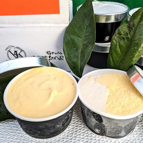 果樹園紀の国 味皇みかんアイス 4個入り