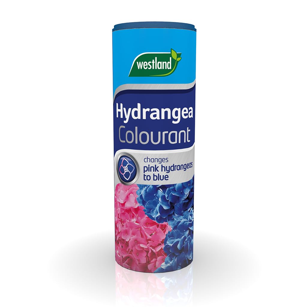 Westland Hydrangea Colourant 500g – Soil Acidifier to Turn Pink Hydrangeas Blue – Easy-to-Use Fertiliser Salt for Vibrant Garden Blooms