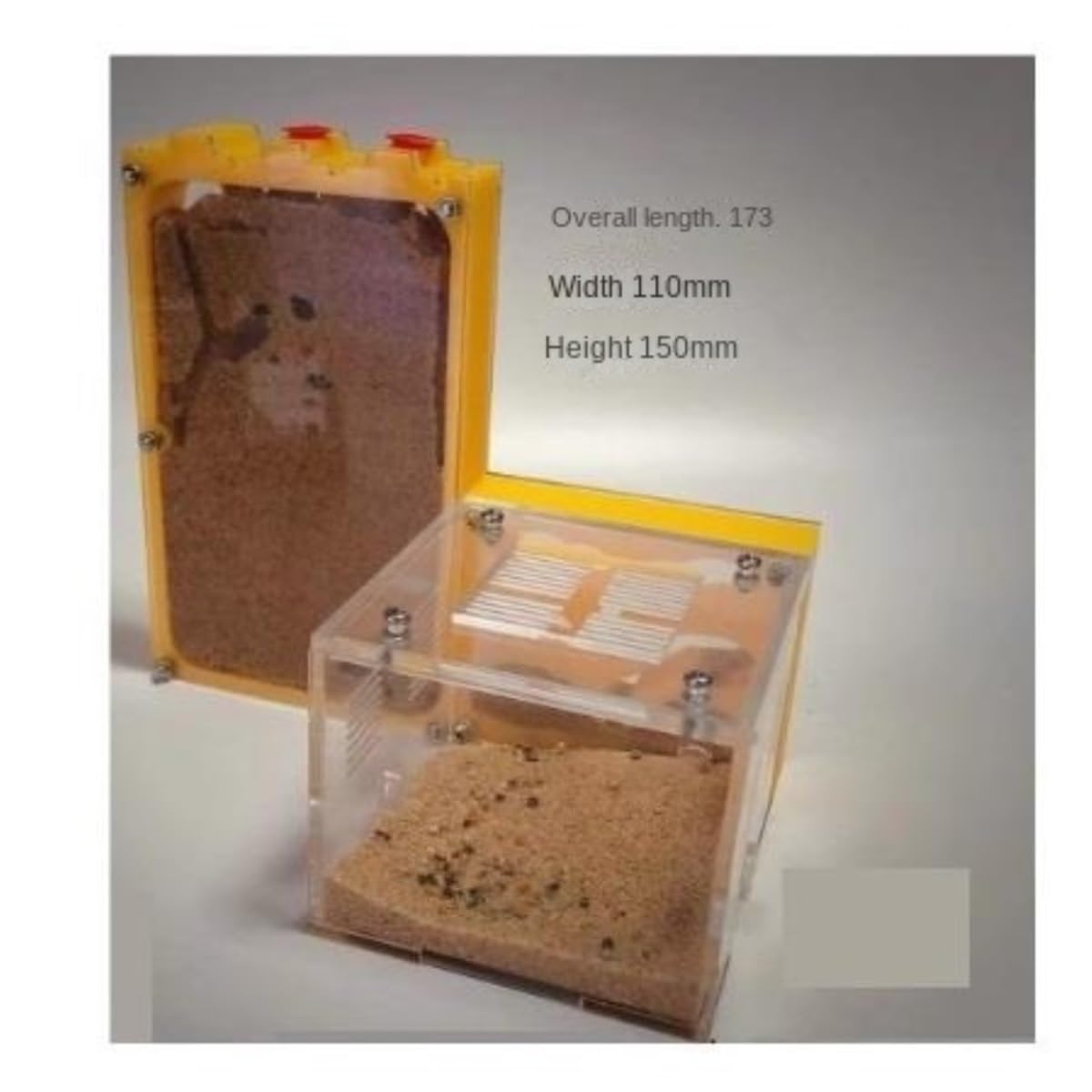 Nido di formiche Capacità Castello in acrilico Formicaio Habitat osservazione delle Fattoria
