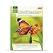 Walter Foster How to Draw & Paint Drawing Colored Pencil Basics Book