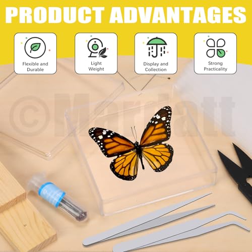 Image of Mardatt 15Pcs Making Insect Specimen Tools Kit, Insect Pinning Kit with Insect Pinning Block, Insect Pinning Board, Insect Pins, Wings Pressing Paper, Insect Display Case, Tweezers, Scissors