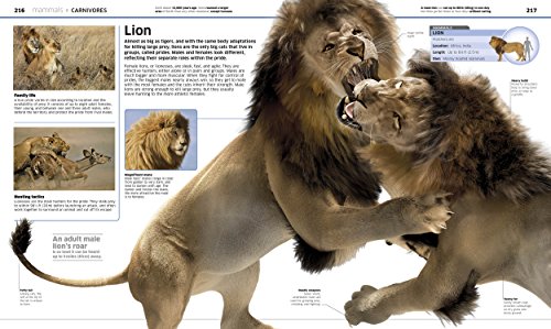 Animal! (DK Knowledge Encyclopedias) - Image 9