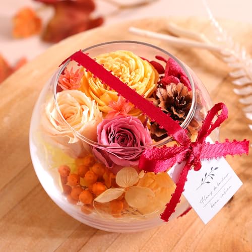  a v[g vU[uhEOX VF[EI[^ NAP[X Mtg LO j  BunBunBee