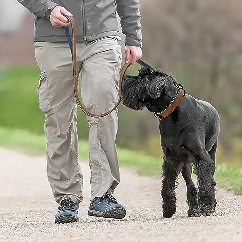 Image of Didog PU Leather Dog Collar and Leash Set, Soft Padded, Brown, Neck 18-22 inch