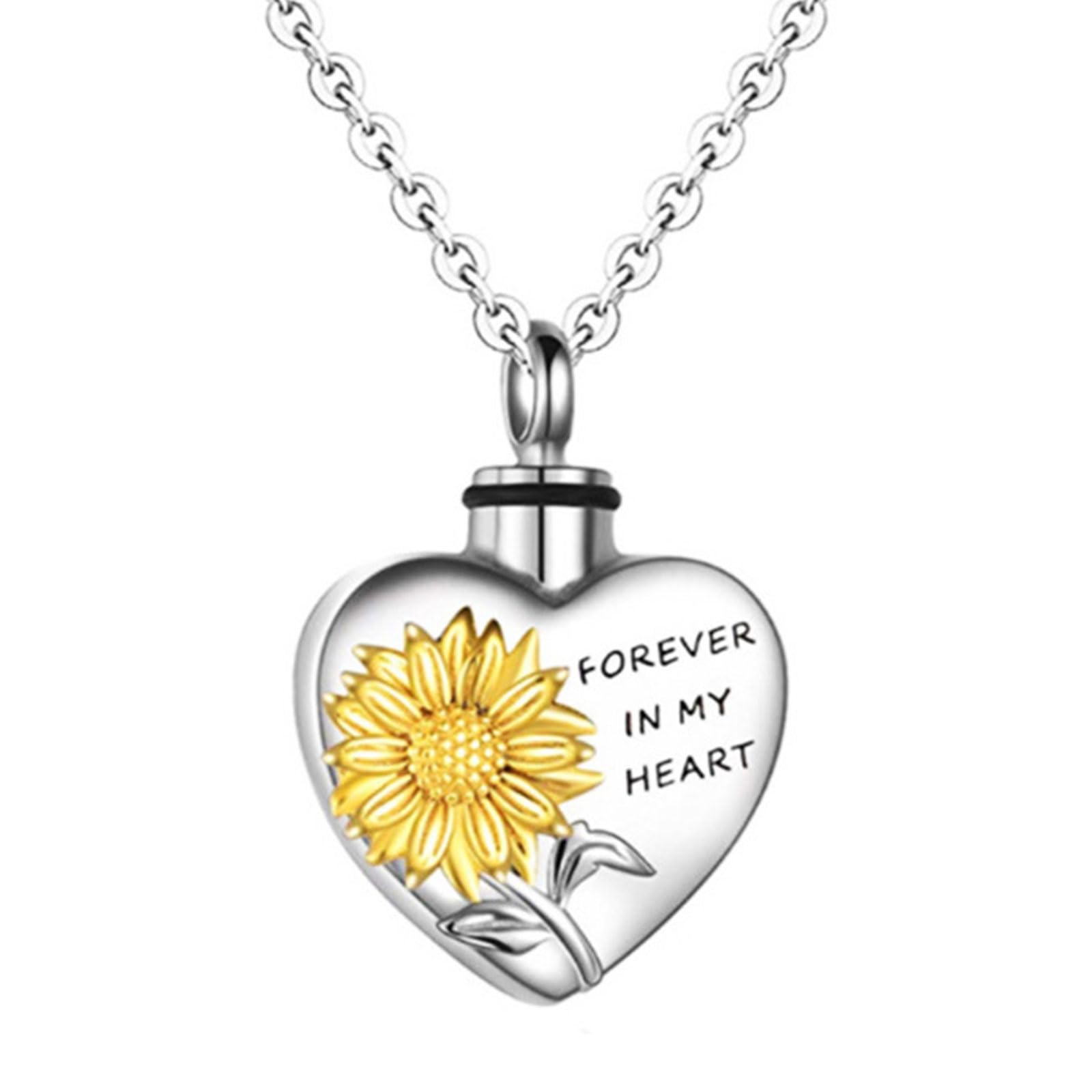 NEWFT Pet Ashes Necklace Locket Necklace for Animal Pet Mom Locket for Ashes/Hair Heart Necklace for Ashes/Hair