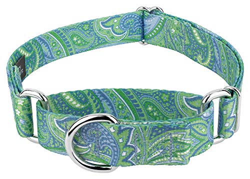Country Brook Petz - Green Paisley Martingale Dog Collar (1 Inch, Medium) - Made in The U.S.A.