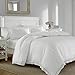 Laura Ashley - Queen Duvet Cover Set, Reversible Cotton Bedding with Matching Shams, Lightweight Home Decor for All Seasons (Annabella White, Queen)