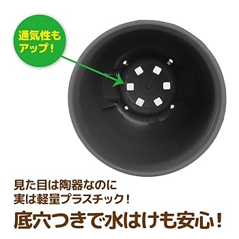 Amazon.co.jp: AllBright 植木鉢 観葉植物 鉢植え 多肉植物 育苗